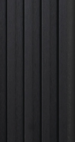 10003 Negro