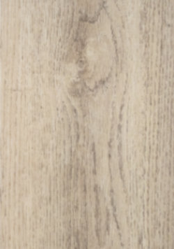 10070 Yellow Oak