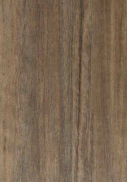 10072 American Walnut