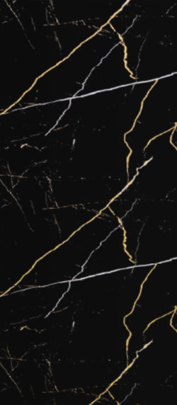 10213 Black Golden